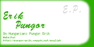 erik pungor business card